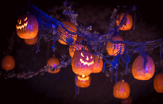 Are you ready to get spooked this Halloween?