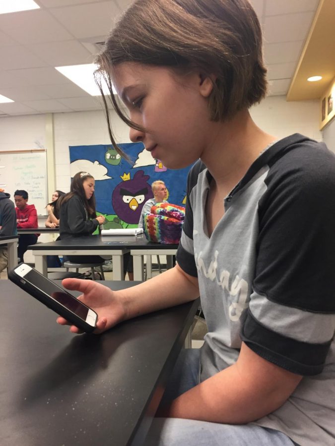 Sophomore Kayla Borczynski uses her phone during class.