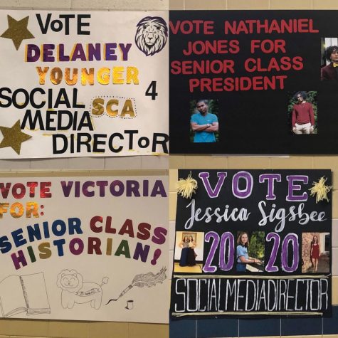 The Results for the 2019 SCA and Class Elections